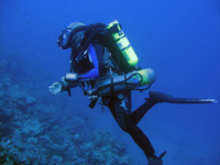 diving