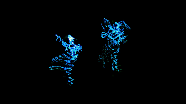 Loading Image